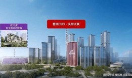 琶洲新房爆料最新消息新闻,最新爆料揭示价格、户型及开盘时间揭秘